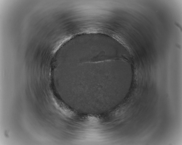 X0000099500592200805151433