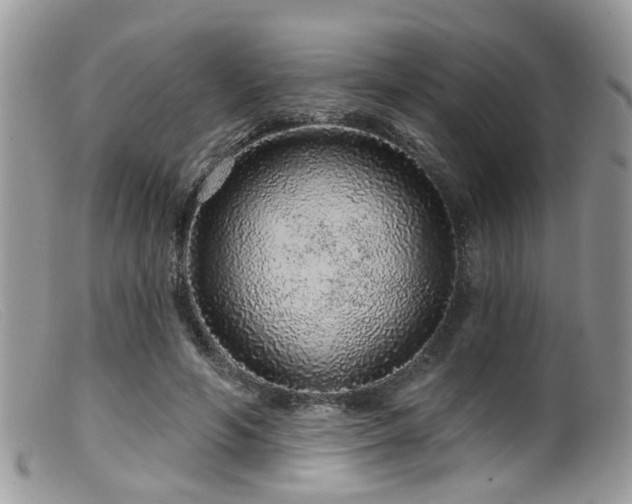 X0000099500594200805151433