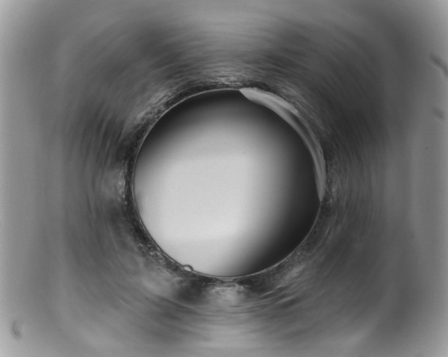 X0000099500595200805151433