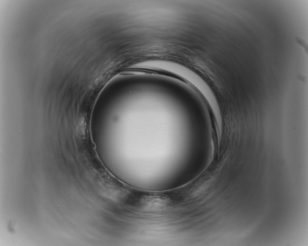 X0000099500597200805151433