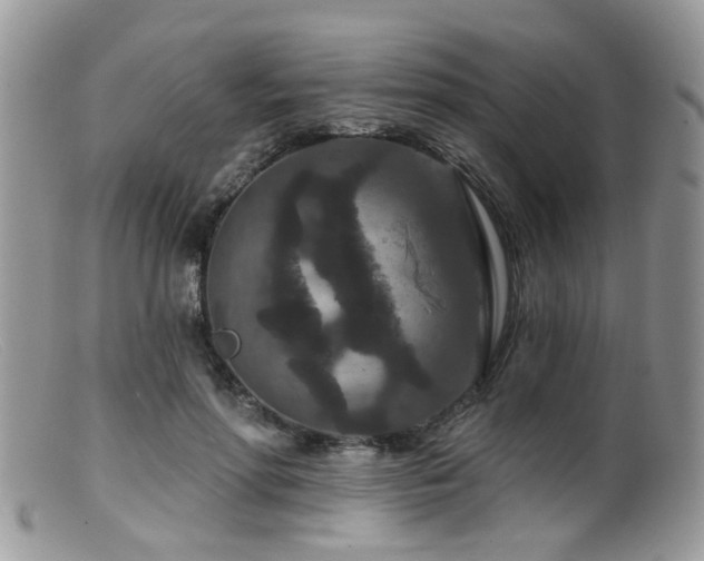 X0000099500598200805151433