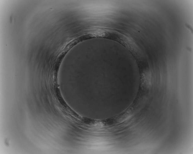 X0000099500600200805151433