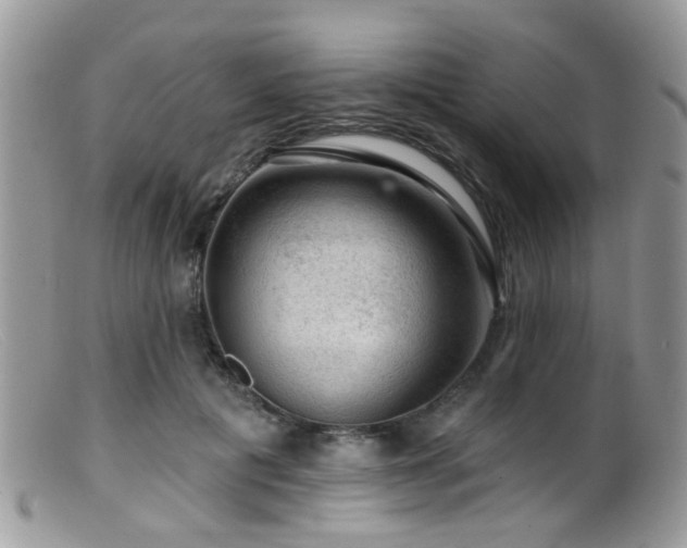 X0000099500601200805151433