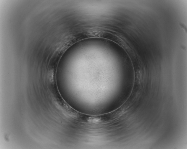X0000099500602200805151432