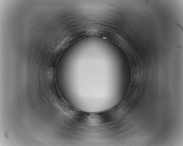 X0000099500603200805151432