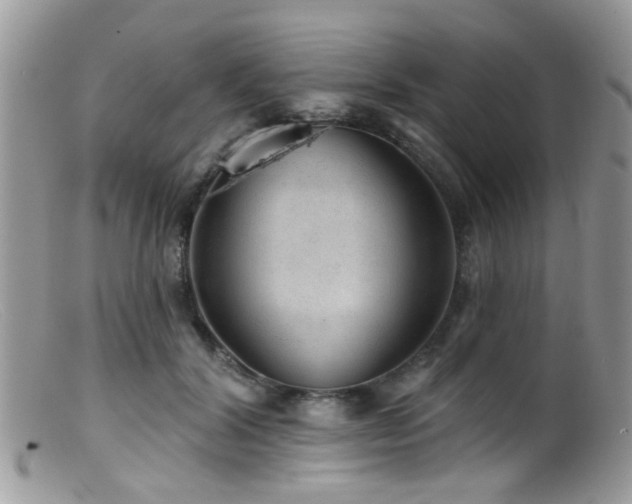 X0000099500604200805151432