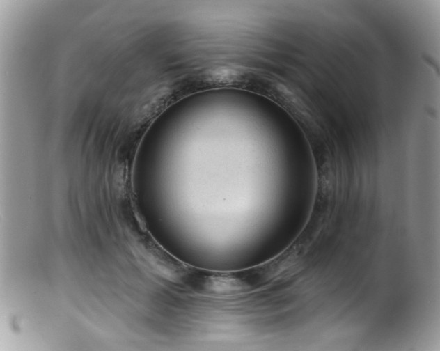 X0000099500605200805151432