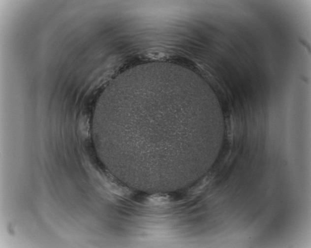 X0000099500606200805151432