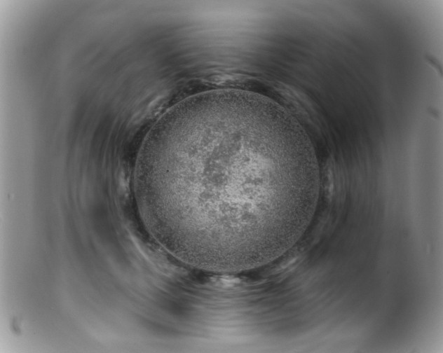 X0000099500607200805151432