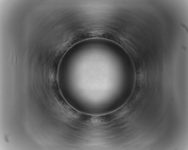 X0000099500608200805151432