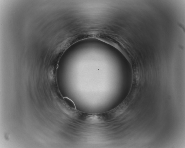 X0000099500611200805151432