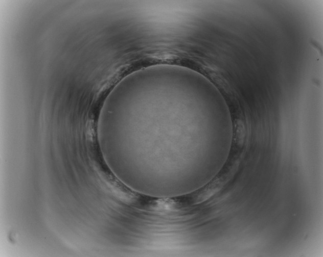 X0000099500612200805151432