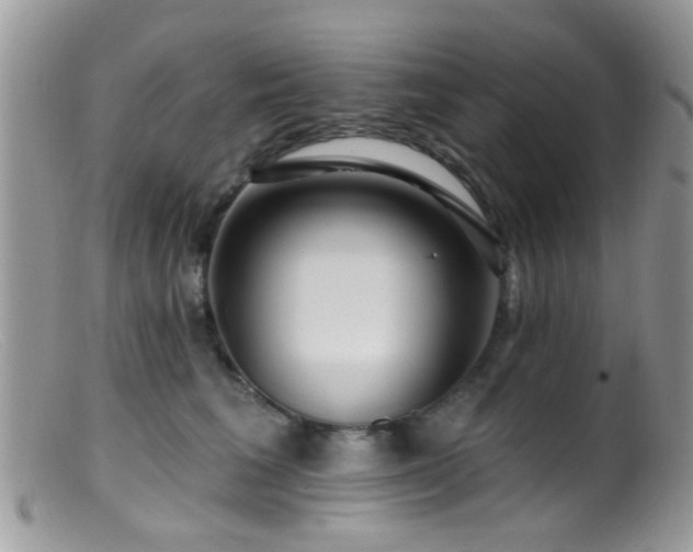 X0000099500613200805151432