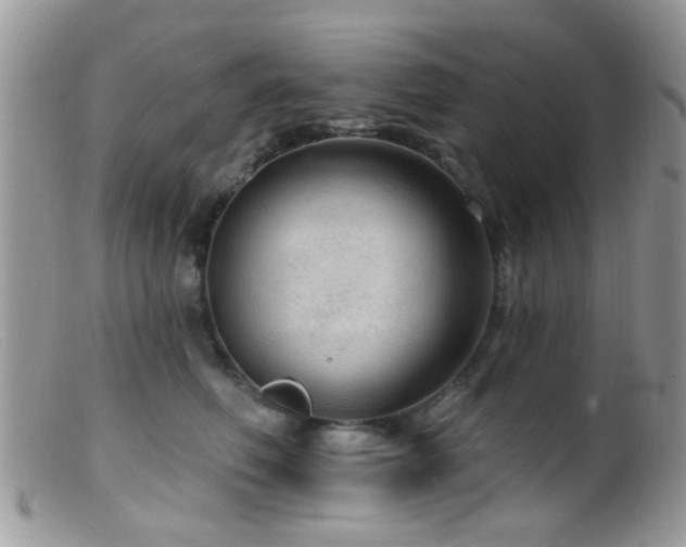 X0000099500614200805151432