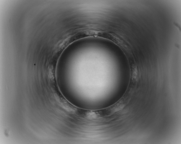 X0000099500616200805151432