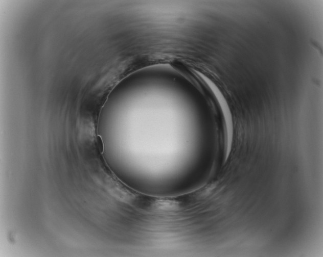 X0000099500617200805151432