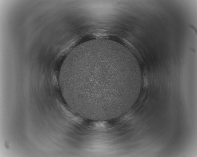 X0000099500618200805151432