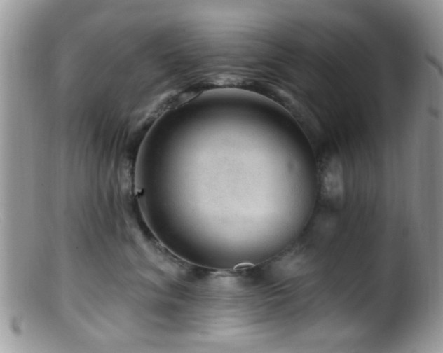 X0000099500620200805151432