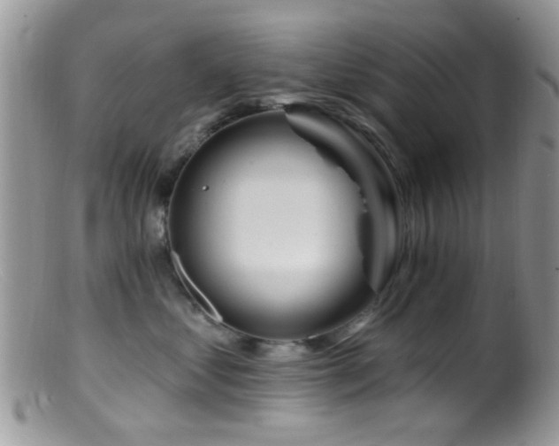 X0000099500621200805151432