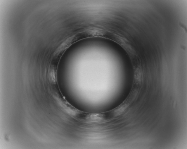 X0000099500622200805151432