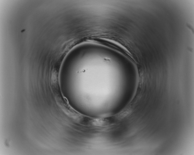 X0000099500623200805151432