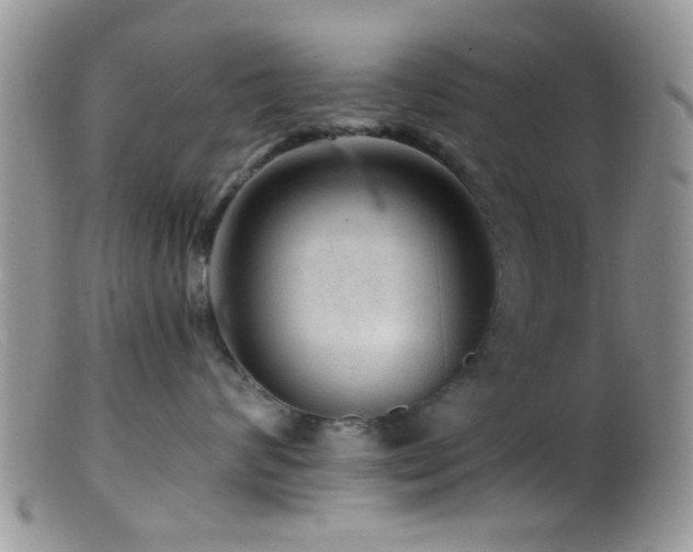 X0000099500624200805151432
