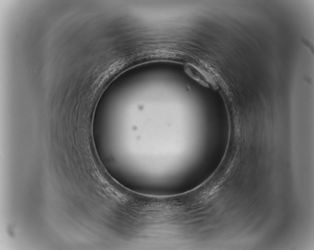 X0000099500625200805151431