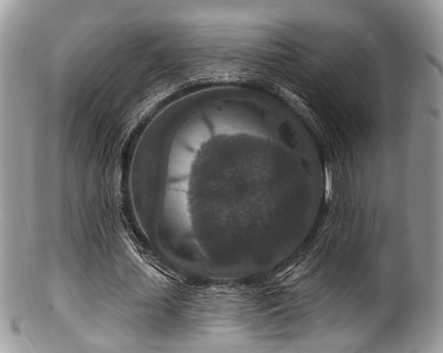 X0000099500627200805151431