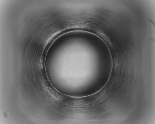 X0000099500628200805151431