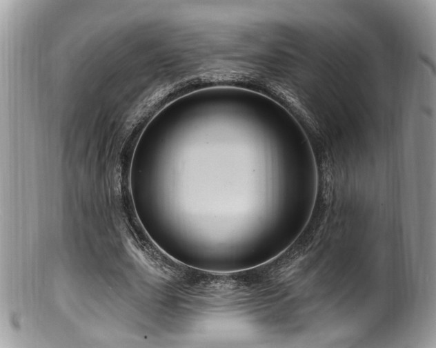 X0000099500631200805151431