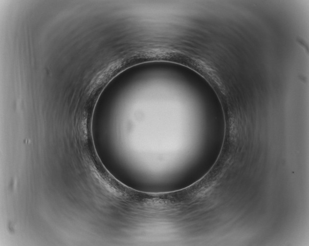 X0000099500633200805151431