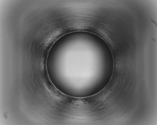 X0000099500635200805151431