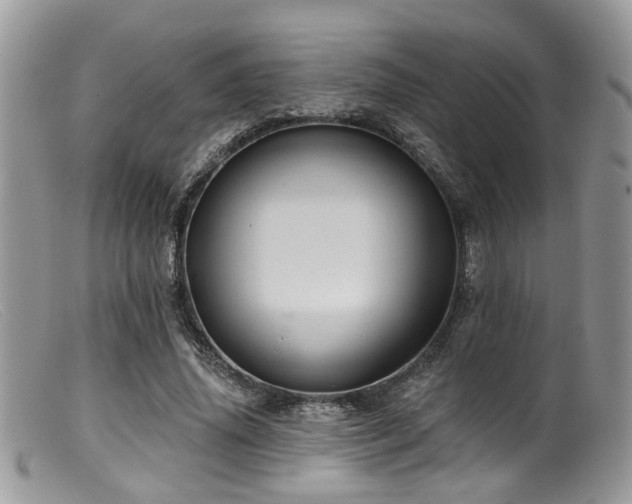 X0000099500636200805151431