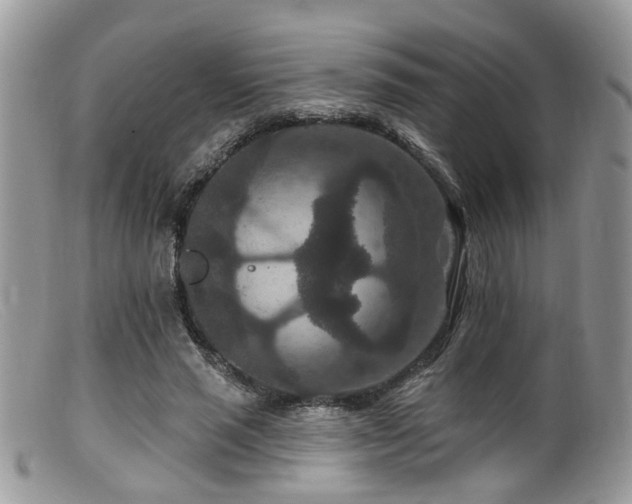 X0000099500637200805151431