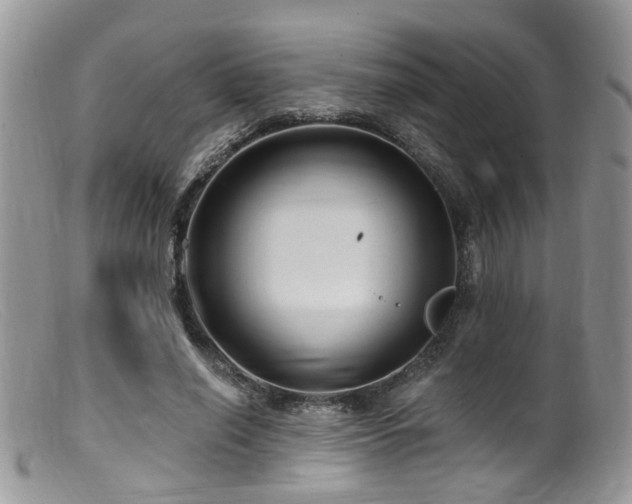 X0000099500638200805151431