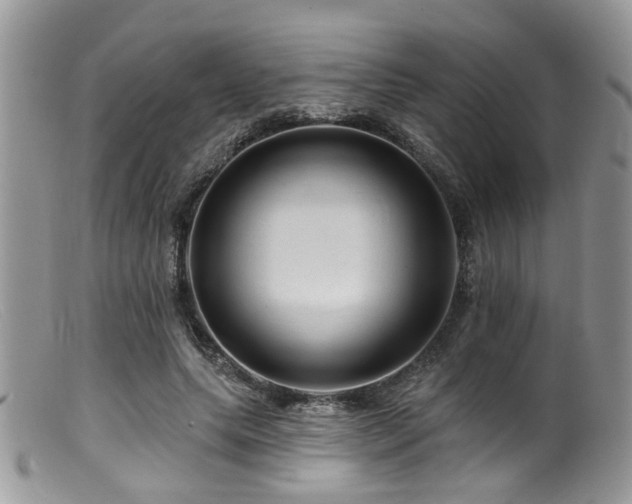 X0000099500639200805151431