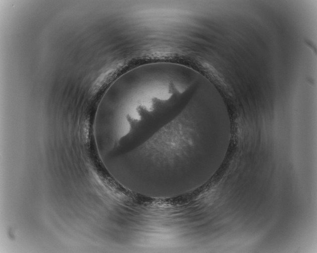 X0000099500640200805151431