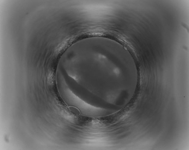 X0000099500641200805151431