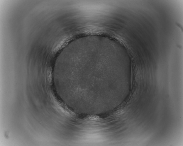 X0000099500642200805151431