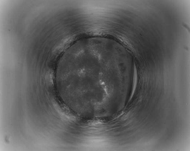 X0000099500643200805151431