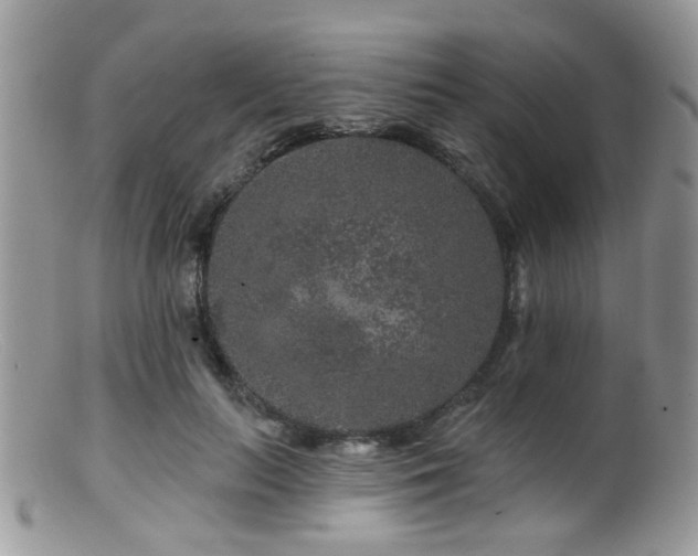 X0000099500647200805151432