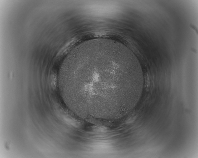 X0000099500648200805151432