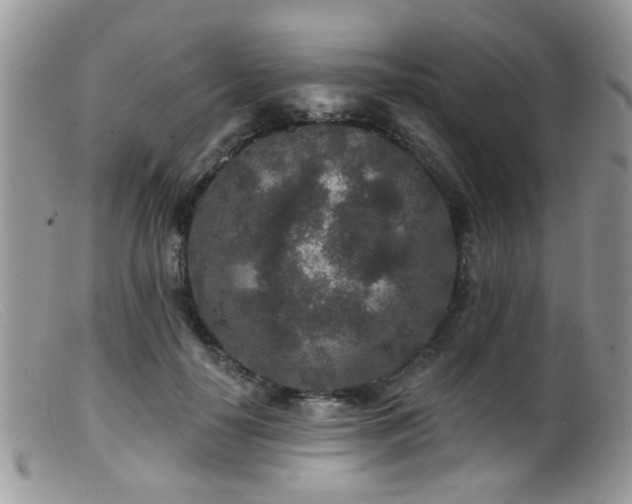X0000099500650200805151432