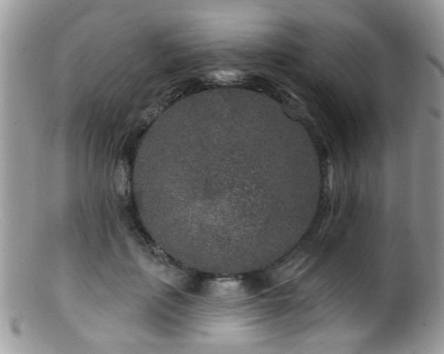X0000099500651200805151432