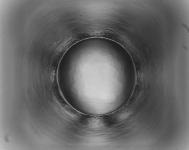 X0000099500652200805151432