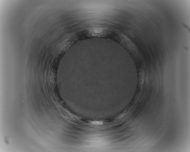 X0000099500653200805151432