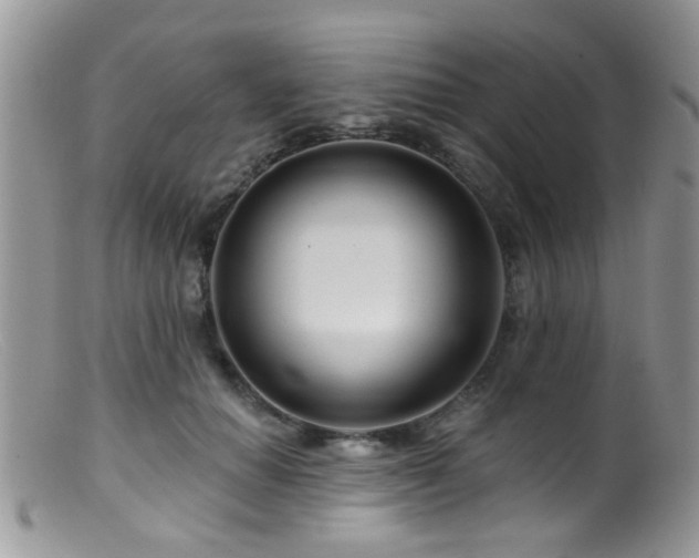X0000099500654200805151432