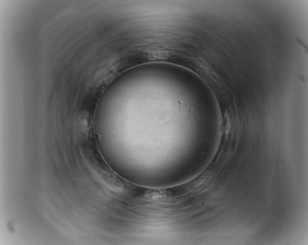 X0000099500655200805151432