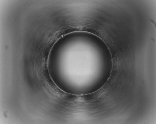 X0000099500656200805151432