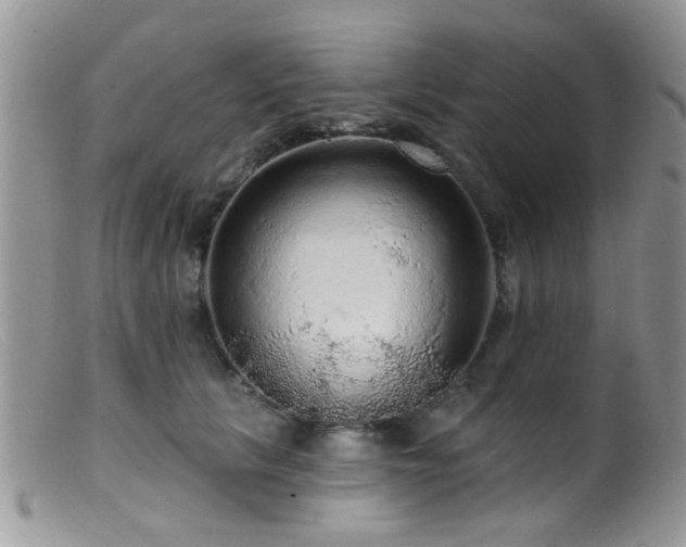 X0000099500657200805151432
